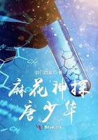 寡妇刺客