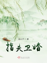 火炬之光2技能点