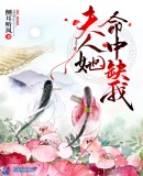 斗罗大陆全集免费版高清