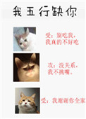 午夜爱