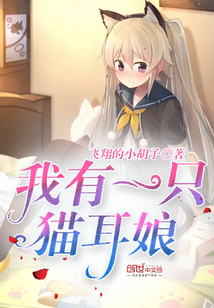 爱伴侣