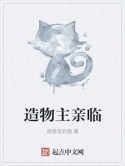 韩国电影完美拍档
