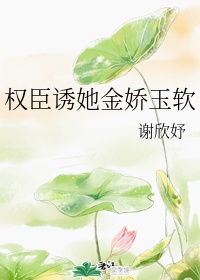 女警花的风流艳史