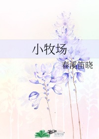 巨龙肉色透明水晶丝袜校花