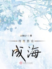 完美宠妃系统