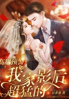 张世豪小说