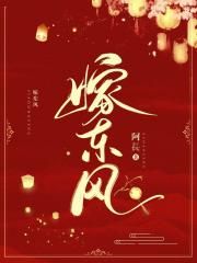 保险女王在线观看