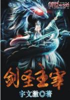 枪火2