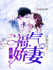 甄子丹精武门电视剧全集
