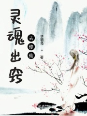 风雨一世情