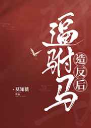 杨花落尽子规啼小说