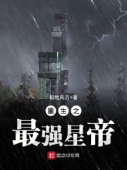 最新轮乱合集小说