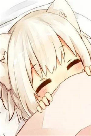 新视觉体育直播