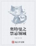 民国军火商人