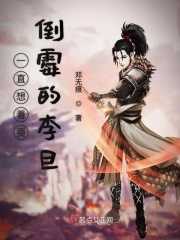 闪闪发光大团结目录