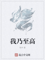 无需播放器的成年视频