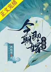 傅北爵叶云苒的小说全文免费阅读