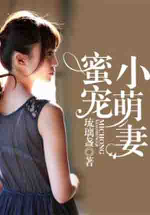 国务卿女士第三季