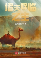 舞法天女之黑暗天女