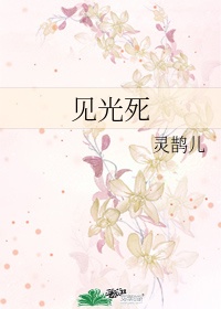 王雪老赵
