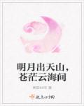 盗佛线1国语