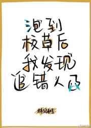 新金梅全集第15集播放