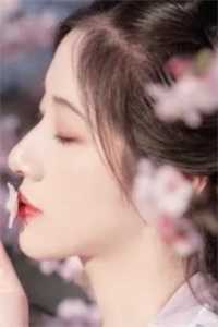 陈浩章梅叶心仪全文免费无弹窗阅读