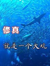 千人千色T9T9T9的推荐机制