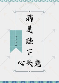 明目张胆小说