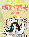 借根行事