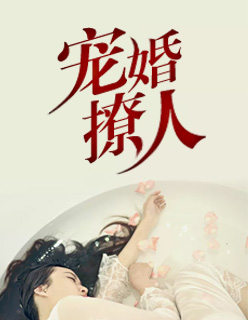 邪魅冷少的替身妻