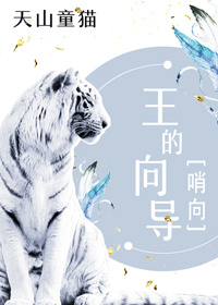 蓝图影视