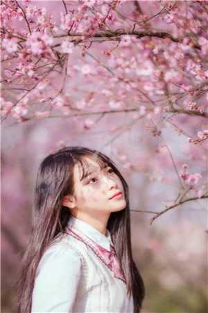 绣春刀ii:修罗战场