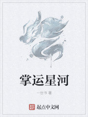 办公室风雨小说
