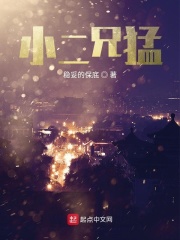 豺狼计划