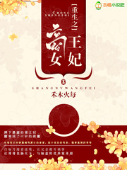 飞极速6