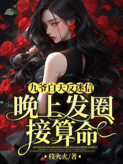 夺帅未删减版高清