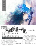 方逸雅美妇厨房双飞第41章