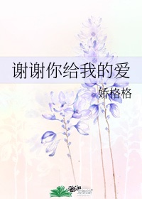 长相思第一季