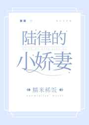 我的天劫女友小说