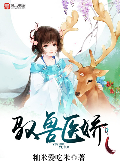 国产91在线免费观看