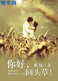 明日花在线播放无插件