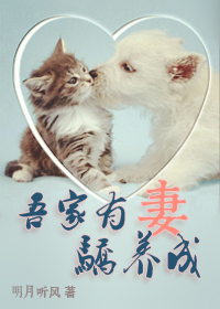 高压线电影