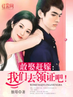 韩国电影完美搭档完整版