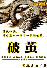 潘金莲新传之锁金梅