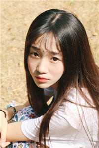 藏海花2