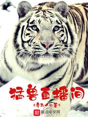 无上之境萧炎前世