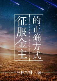 风流村长小说全集