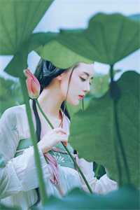 打板子王妃