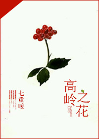 高h全肉纯肉高质量